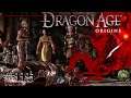 LA GRAN ASAMBLEA | Dragon Age Origins #115