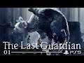 THE LAST GUARDIAN SUR PS5 | The Last Guardian - LET'S PLAY FR #1