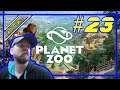 Vad får vi för björnarna? 3000 spänn...👍 - Planet Zoo #23 [PC]