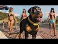 Vida de Cão: Perdi Meus Donos Ricos, Cachorro Guarda Costa! Animais GTA V Mods