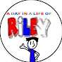 A Day in the Life Of Riley