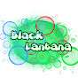 Black Lantana