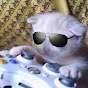 GamerOp WPF