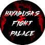 Hayabusa's Fight Palace