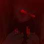 Shadow Hunter