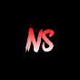 NS TWINS