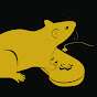 Rattus
