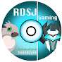 RDSJ Gaming