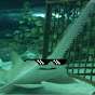 SwiggyShark