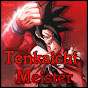 Tenkaichi Meister