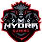 Hydravio Gaming