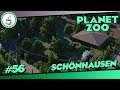 Das Jaguartal #56 «» Schönhausen Zoo 🦍 - PLANET ZOO Herausforderung | Deutsch German
