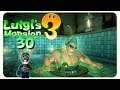 Der Bademeister geht unter! #30 Luigis Mansion [Facecam/deutsch] - Gameplay Let's Play
