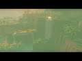 The legend of zelda breath of the wild Gameplay 22 (Switch) VF