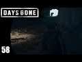 Lost Among Wolves - Days Gone - Part 58