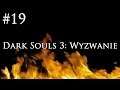 Dark Souls 3: Wyzwanie [#19] - ALDRICH i ZBROJA