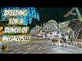 MEGALOSAURUS BREEDING FRENZY And Getting My First MUTATION!! || Ark Story Unmodded!!