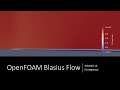 OpenFoam for Beginners Win10 19 - blockMeshDict for BL flow 8 plus test