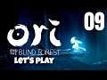 Ori and the blind forest |Let's play sin comentario parte 9| Ruinas desoladas