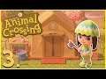 A KURÁTOR BEKÖLTÖZIK! - Animal Crossing - New Horizons #3