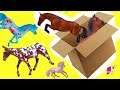 Box of New Horses ! Traditional, Club, Freedom Series  Breyer Horse Haul Video