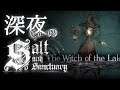 ex02【深夜のCo-op】湖面共鳴り呱呱の声【Salt and Sanctuary / ソルト アンド サンクチュアリ】
