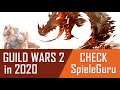 Guild Wars 2 Review | Ausblick und Meinung zu GW2