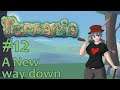 Let's Play Terraria - 12 - A New way down
