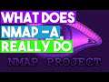 What Does Nmap -A Really Do?