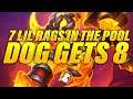 7 Lil Rags in the Pool, Dog Gets 8 | Dogdog Hearthstone Battlegrounds