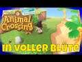 Alles in voller Blüte auf unserer Insel#18  Animal Crossing New Horizons Switch