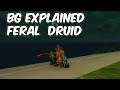 BG Explained - 8.0.1 Feral Druid PvP - WoW BFA