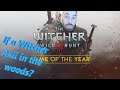 Does a Harpy fall from the sky? - The Witcher 3: Wild Hunt