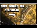 Spot Fishing for STEELHEAD | The One That Got Away | Salt Creek | Northwest Indiana Fishing