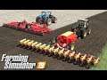 Talerzowanie i siew słonecznika - Farming Simulator 19 | #76