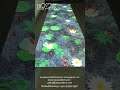 EPARK Interactive projection floor,fish pond projection system,interactive wall projector 互动投影鱼池