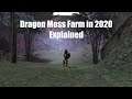 Guild Wars Dragon Moss Farm Explained