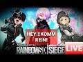 LIVE -HEHE ,I BIMS WIEDER  -Rainbow six siege! [DEUTSCH]  PS4