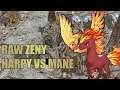 ROYAL GUARD RAW ZENY FARM HARPY VS FIERY MANE
