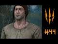 The Witcher 3: Wild Hunt | Let's Play | 44