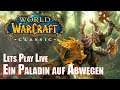 Ein Paladin auf Abwegen - TBC Vorbereitung World of Warcraft Classic Part 2