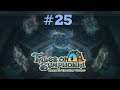 #25 Am Rad drehen-Let's Play Tales of Tales of Symphonia: Dawn of the New World