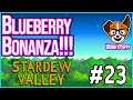 BLUEBERRIES ARE WORTH SO MUCH GOLD!!!  |  Let's Play Stardew Valley 1.4 [S2 Episode 23]