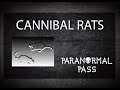 Cannibal Rats!! | Paranormal Pass