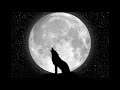 Howller - Howling Out The Truth (Official Audio)