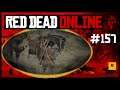 Let’s Play Red Dead Online #157 Schneejagen