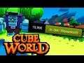 Mit 20€ Cube World kaufen | Cube World 2019 Gameplay Deutsch #3