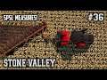 STONE VALLEY #36 / SPSL MEASURES / Farming Simulator 19 PS4 Let's Play FS19.