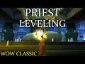 WoW Classic - Priest Leveling #19 (Stonetalon Mountains/Barrens)