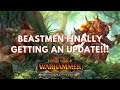 BEASTMEN UPDATE! Lizard Boys DLC! Total War Warhammer 2 Speculation